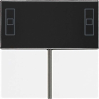 A 4093 TSA CH - Cover plate for switch A 4093 TSA CH