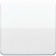 CD 590 BF GR - Cover plate for switch/push button grey CD 590 BF GR