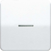 CD 590 KO5 LG - Cover plate for switch/push button grey CD 590 KO5 LG