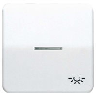 CD 590 KO5L PT - Cover plate for switch/push button CD 590 KO5L PT