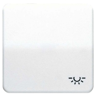 CD 590 L PT - Cover plate for switch/push button CD 590 L PT