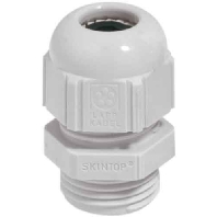 ST Pg16 R7035 LGY (50 Stück) - Cable gland / core connector ST Pg16 R7035 LGY