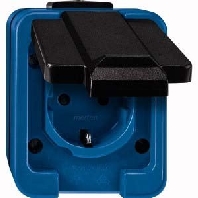 289378 - Socket outlet (receptacle) blue 289378