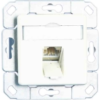 TN EDATC6A-1UPk-rws - RJ45 8(8) Data outlet white TN EDATC6A-1UPk-rws