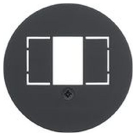 MAN0101717 - Central cover plate TAE MAN0101717