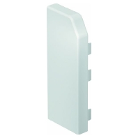 RD ESL40105 cws (10 Stück) - End cap for baseboard wireway RD ESL40105 cws