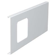 D2-1 130RW - Face plate for device mount wireway D2-1 130RW