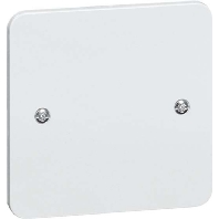 D 80.677-Z W - Basic element with central cover plate D 80.677-Z W