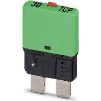 TCP 30/DC32V (50 Stück) - MCB terminal block 30A 8,2mm TCP 30/DC32V