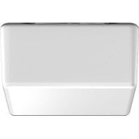 10410.002 - Ceiling-/wall luminaire 1x40W 10410.002