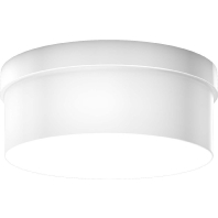 22142.002 - Ceiling-/wall luminaire 2x60W 22142.002