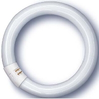 NL-T9 40W/840C/G10Q - Fluorescent lamp ring shape 40W 29mm NL-T9 40W/840C/G10Q