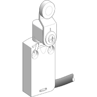 XCMD2116L1 - Roller lever switch IP66/IP67 XCMD2116L1