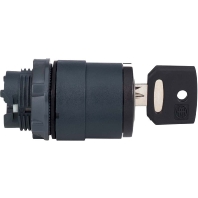 ZB5AG0 - Key actuator IP66 ZB5AG0