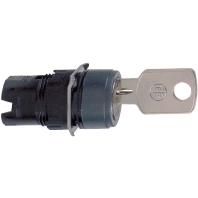 ZB6AGB - Key actuator IP65 ZB6AGB