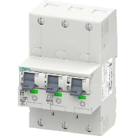 5SP3863-3 - Selective mains circuit breaker 3-p 63A 5SP3863-3