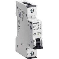 5SY4108-7 - Miniature circuit breaker 1-p C8A 5SY4108-7