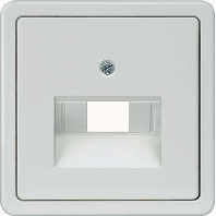 5TG1765 - Central cover plate UAE/IAE (ISDN) 5TG1765