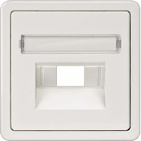 5TG1821 - Central cover plate UAE/IAE (ISDN) 5TG1821