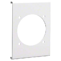 R 8680 rws - Face plate for device mount wireway R 8680 rws