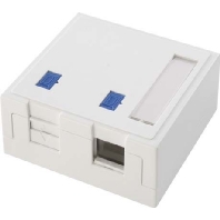 H02000A0072 (5 Stück) - Data outlet white H02000A0072