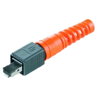 IE-PS-V04P-RJ45-FHBP (10 Stück) - RJ45 8(8) plug IE-PS-V04P-RJ45-FHBP