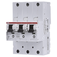 S751/3DR-E25 - Selective mains circuit breaker 3-p 25A S751/3DR-E25