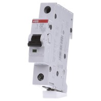 S201-C8 - Miniature circuit breaker 1-p C8A S201-C8