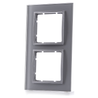 10126414 - Frame 2-gang aluminium 10126414