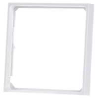 11098989 - Adapter cover frame 11098989
