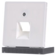 14076089 - Central cover plate UAE/IAE (ISDN) 14076089