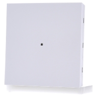 75161099 - EIB, KNX touch sensor 2-fold, 75161099