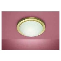 41224 - Ceiling-/wall luminaire 1x60W 41224