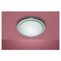 41231 - Ceiling-/wall luminaire 2x60W 41231