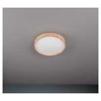 44442 - Ceiling-/wall luminaire 44442