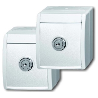 20/20 EWSL-54 - Socket outlet (receptacle) 20/20 EWSL-54