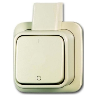 2601/2 AP - 2-pole switch surface mounted 2601/2 AP