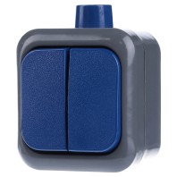 2601/5 WDI - Series switch surface mounted blue 2601/5 WDI