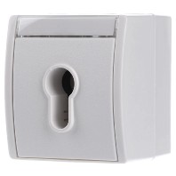 2733 SLW-54 - Switch surface mounted white 2733 SLW-54