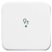 6234-10-214 - Touch rocker for home automation white 6234-10-214