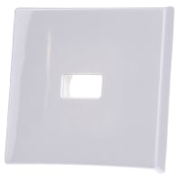 2120-34 - Cover plate for switch/push button white 2120-34