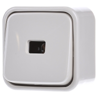 2621 AP - Push button 1 make contact (NO) white 2621 AP