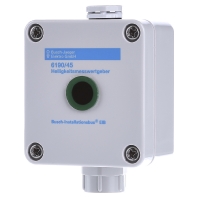 6190/45 - EIB, KNX brightness sensor, 6190/45
