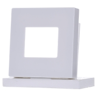 6476-84 - Cover plate for time switch white 6476-84