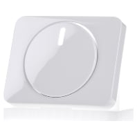 6540-24G - Cover plate for dimmer white 6540-24G