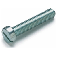 19 0890 (100 Stück) - Machine screw M6x40mm 19 0890