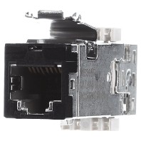 2153449-2 (24 Stück) - Modular jack 2153449-2