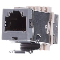 2153449-4 (24 Stück) - Modular jack 2153449-4