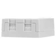 418037 - RJ45 8(4) Data outlet Cat.6 white, 418037 - Promotional item