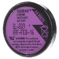 LT308.098 - Battery/accumulator for controls LT308.098